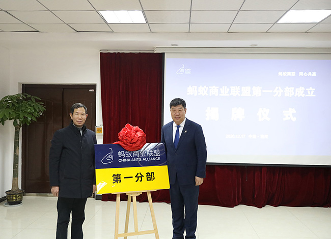 2020年12月